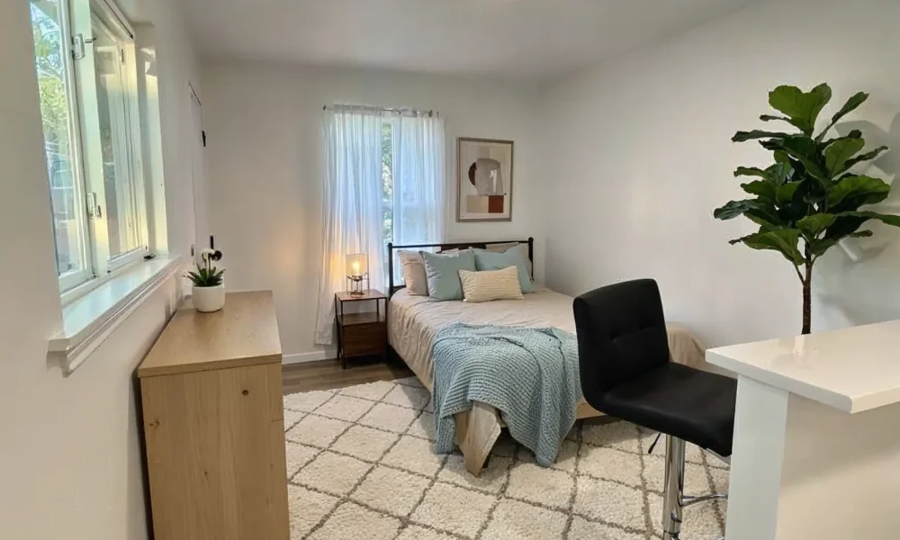 magnifics_upscale-CndKn5U8dpyVEDP5CogP-WhatsApp Image 2026-01-29 at 5.36.02 PM (4)